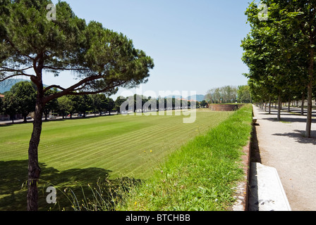 Le Mura, The City Burgwall, Lucca, Toskana, Italien, Europa Stockfoto