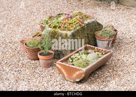 Pflanzenbehälter; alten Bauernhof Steintrog, Keramik Töpfe, alte Geflügel Keramik Wassertrog, auf einer geschotterten Fläche inmitten eines Gartens. Stockfoto