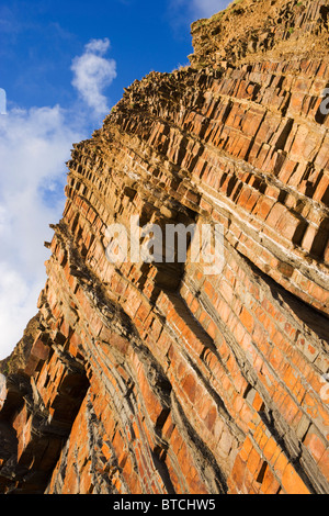 Sandsteinfelsen an Sandy Mündung in der Nähe von Bude, Cornwall, UK Stockfoto