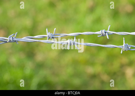 Verzinkter Stacheldraht in Feldgrenze Fechten von Landwirten und Grundbesitzern verwendet. Stockfoto