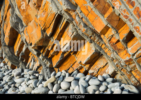 Sandsteinfelsen an Sandy Mündung in der Nähe von Bude, Cornwall, UK Stockfoto