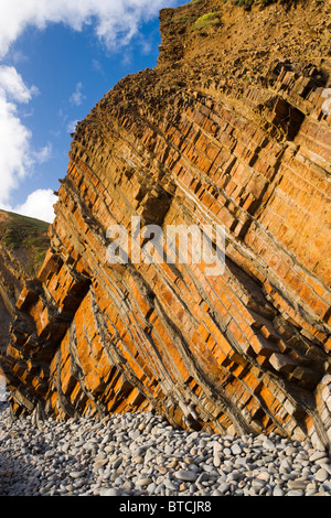 Sandsteinfelsen an Sandy Mündung in der Nähe von Bude, Cornwall, UK Stockfoto