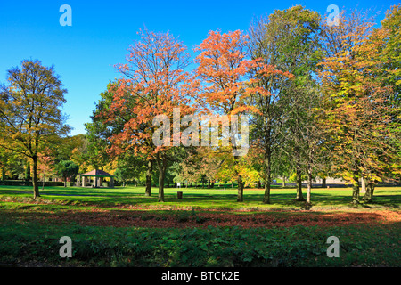 Herbstliche Bäume Thompson Park, Burnley, Lancashire, England, UK. Stockfoto