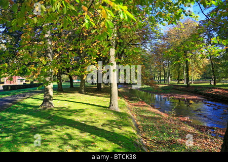 Herbstliche Bäume durch den Fluss Brun in Thompson Park, Burnley, Lancashire, England, UK. Stockfoto