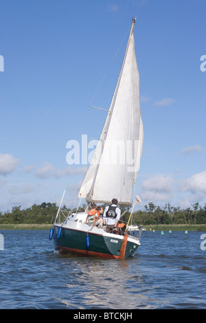 Sportboote. Segeln.  Yacht. Urlaub, Ferien. Sommer. Barton Broad, Norfolk. Stockfoto