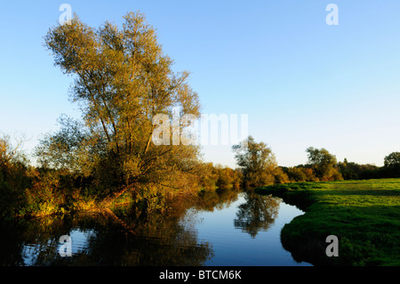 Der Fluss Cam und Grantchester Meadows, Cambridge, England, UK Stockfoto