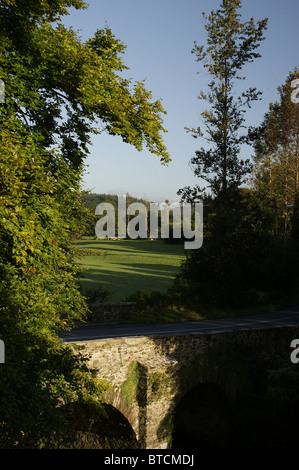 Löwe-Bogen-Brücke, Vale von Avoca, County Wicklow, Irland Stockfoto