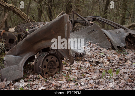 Die verrosteten Überreste eines ausgebrannten Autos zu zerstören, in einem Wald Stockfoto