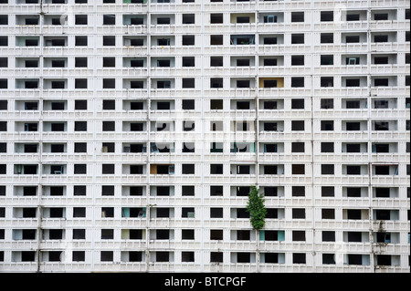 Verfallene Appartementhaus in Kuala Lumpur, Abriss warten. Stockfoto