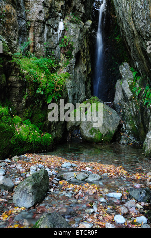 Dungeon Ghyll Kraft, Wasserfall in Great Langdale im englischen Lake DIstrict Stockfoto