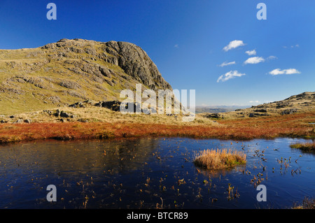 Herbstliche Aussicht auf gefrorenen Tarn und Harrison scheut im englischen Lake District Stockfoto