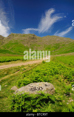 Mickleden Tal und Rosset Hecht im Sommer, englischen Lake District Stockfoto