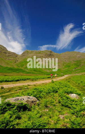 Mickleden Tal und Rosset Hecht im Sommer, englischen Lake District Stockfoto