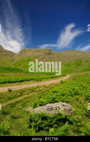 Mickleden Tal und Rosset Hecht im Sommer, englischen Lake District Stockfoto