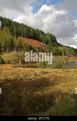 "Das Auge" Skulptur von Colin Rose am schwarzen Loch, Galloway Forest Park, Dumfries & Galloway, Schottland Stockfoto