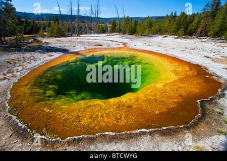 Die unglaublichen Morning Glory Pool im Yellowstone National Park Stockfoto