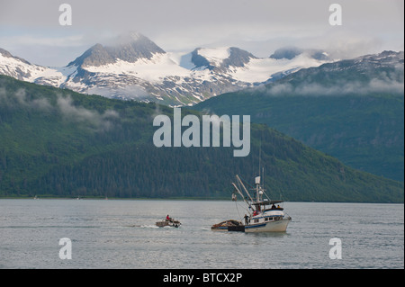 Prince William Sound, Alaska. Fisch Lachs Boote in der Nähe von Valdez, Alaska im Sommer. Stockfoto