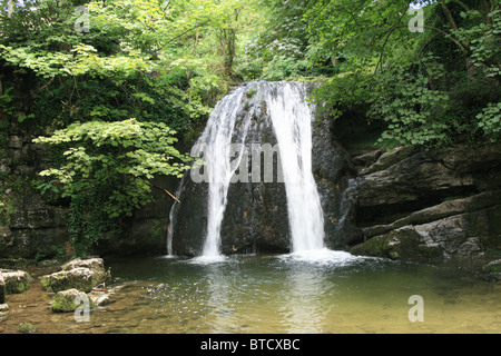 Janet's Foss transportiert Wasser von Gordale Beck zum Fluss Aire unterhalb des Dorfes Malham. Auch bekannt als Jennet's Foss, nach der Fee, die angeblich hier lebt. Stockfoto