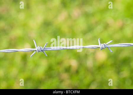 Verzinkter Stacheldraht in Feldgrenze Fechten von Landwirten und Grundbesitzern verwendet. Stockfoto