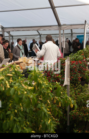 Chilipflanzen zum Verkauf Wimborne Food Festival, 24.-25. Oktober 2010 Stockfoto