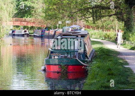 Grand Union Canal - Berkhamsted - Hertfordshire Stockfoto