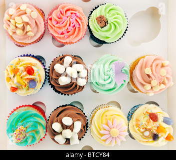 Boxed Cupcakes Stockfoto