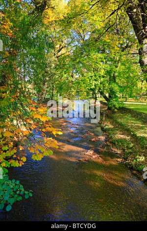 Herbstliche Bäume durch den Fluss Brun in Thompson Park, Burnley, Lancashire, England, UK. Stockfoto