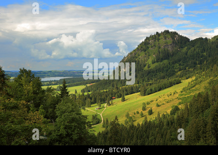 Grüne Hügel und Wiesen in Deutschland. Stockfoto