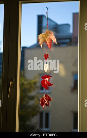 Roten und gelben Blätter an einem Faden hängen an einer Fensterscheibe als Herbst / Herbst Dekoration, München, Deutschland Stockfoto