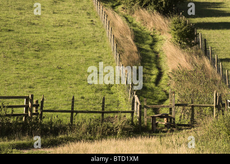 Blick über Kuh unten auf einen steilen Aufstieg zum Lancing Hill - South Downs National Park. Stockfoto