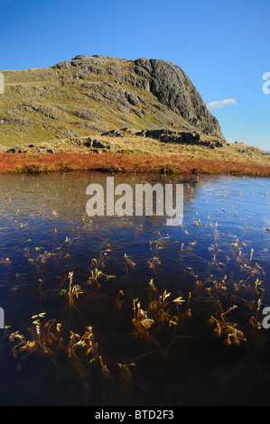 Herbstliche Aussicht auf gefrorenen Tarn und Harrison scheut im englischen Lake District Stockfoto