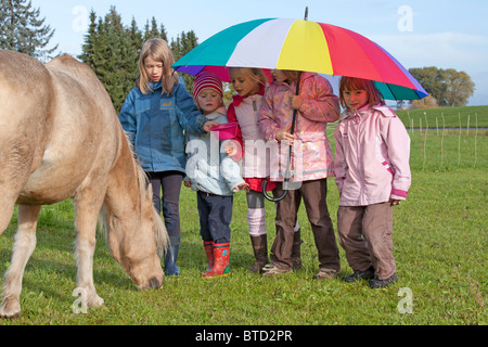 kleine Mädchen unter einen großen bunten Regenschirm, der versucht, ein Pony zu gewinnen Stockfoto