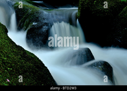 Deutschland, Schwarzwald: Detail von den höchsten Wasserfällen Deutschlands in Triberg Stockfoto