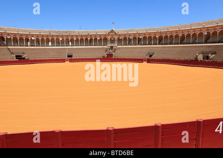 Die Plaza de Toros (Stierkampfarena) in Sevilla, Spanien Stockfoto