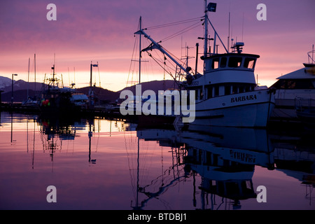 Sonnenuntergang Farben spiegeln sich in den ruhigen Gewässern des Hafens bei Auke Bay, in der Nähe von Juneau, Inside Passage, südöstlichen Alaska, Winter Stockfoto