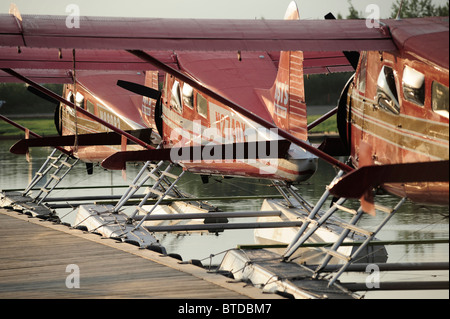 Gruppe von Rust Flying Service DeHavilland Beaver Flugzeuge am Lake Hood in Anchorage, Alaska Yunan angedockt Stockfoto