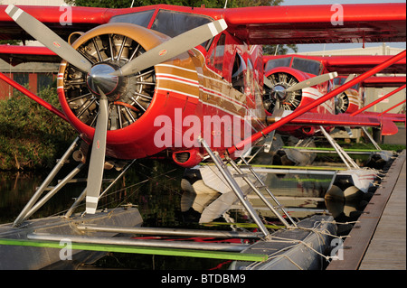 Gruppe von Rust Flying Service DeHavilland Beaver es angedockt am Lake Hood in Anchorage, Alaska Yunan Stockfoto