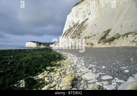 Kreidefelsen von Dover, Kent, England Stockfoto