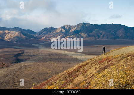 Blick des Fotografen mit Blick auf Polychrome Pass, Denali Nationalpark, Alaska Interior, Herbst Stockfoto