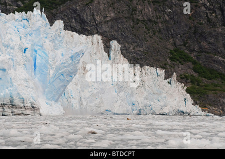 Blick auf Eis Kalben aus Überraschung Gletscher in Harriman Fjord, Prinz-William-Sund, Yunan Alaska, Sommer Stockfoto