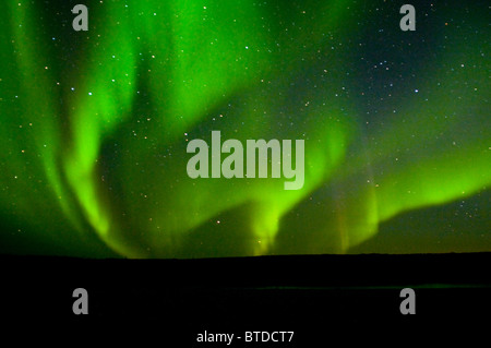 Mehrere grüne Bögen der Aurora Borealis tanzen über den Noatak Fluss im Herbst Noatak National Preserve, Arktis Alaska Stockfoto