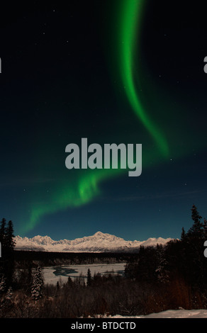 Blick auf grüne Nordlichter (Aurora Borealis) Wölbung durch den Nachthimmel über Denali State Park, innen Alaska, Winter Stockfoto