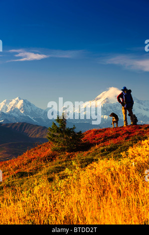 Eine männliche Backpacker und seinem Hund genießen den Blick auf Mt. McKinley während Backpacking in Peters Hügeln, Denali Nationalpark, Alaska Stockfoto