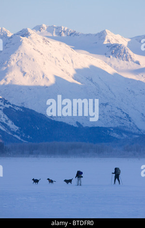 Zwei Langläufer mit Hunden ski über einen See entlang Seward Highway mit verschneiten Bergen im Hintergrund, Alaska Stockfoto