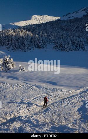 Cross Country Ski Skifahren im Turnagain Pass, Yunan Alaska Stockfoto