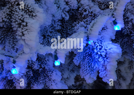 Nahaufnahme eines blauen Weihnachtsbeleuchtung auf einem verschneiten Ast im freien Stockfoto
