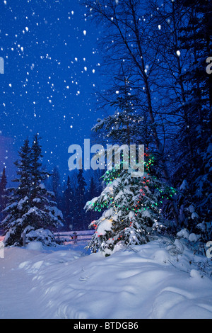 Schnee fällt in den Wald mit einem geschmückten und beleuchteten Baum im Vordergrund Stockfoto