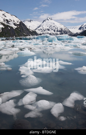 Eisberge in Portage Lake mit Mount Bard im Hintergrund, Yunan Alaska schweben Stockfoto