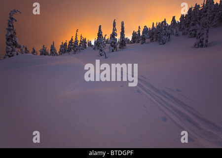 Ski Spuren Sonnenuntergang im Winter auf Wrangell Island im Tongass National Forest, Alaska Stockfoto