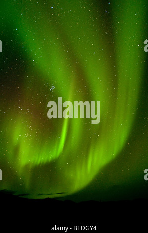 Ansicht der Aurora Borealis tanzen über Noatak Fluss in Toren der Arctic National Park and Preserve, Arktis Alaska, Herbst Stockfoto